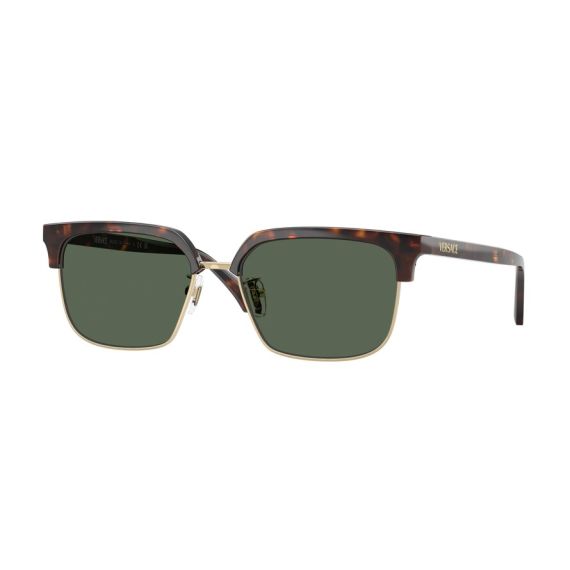 Versace VE 4494D 108/71 Güneş Gözlüğü, Resim 6