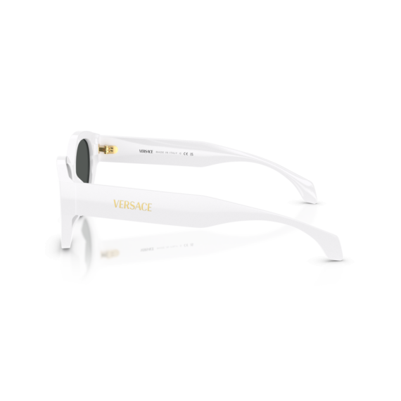 Versace VE 4495D 314/87 Güneş Gözlüğü, Resim 2