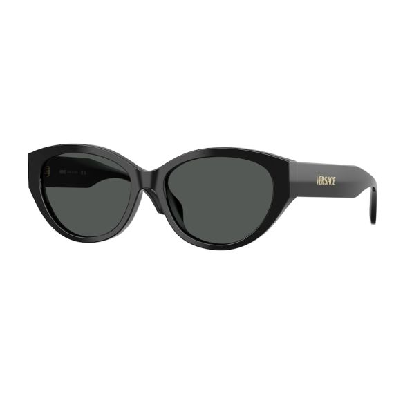 Versace VE 4495D GB1/87 Güneş Gözlüğü, Resim 6