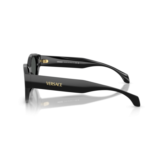 Versace VE 4495D GB1/87 Güneş Gözlüğü, Resim 2