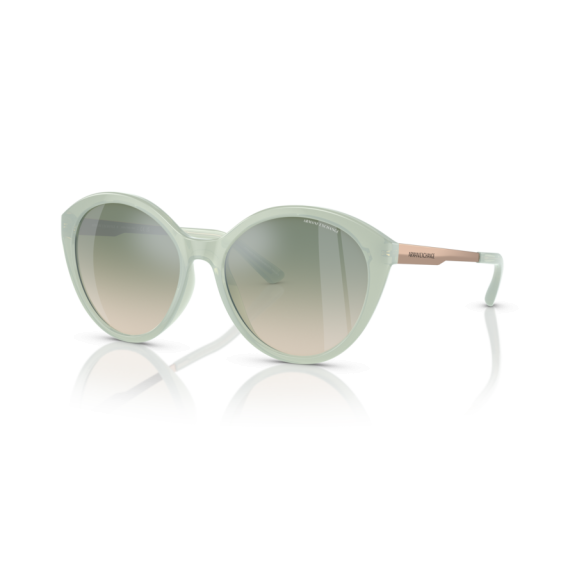 Armani Exchange AX 4134S 8160W0 Güneş Gözlüğü