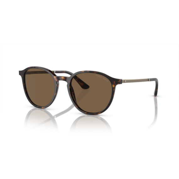 Giorgio Armani AR 8196 502673 Güneş Gözlüğü