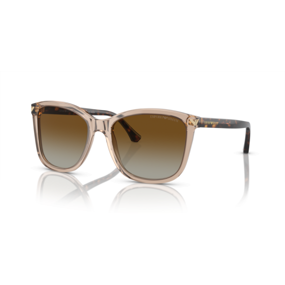 Emporio Armani EA 4060 5850T5 Güneş Gözlüğü