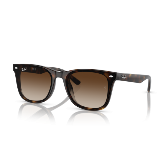 Ray-Ban RB 4420 710/13 Güneş Gözlüğü