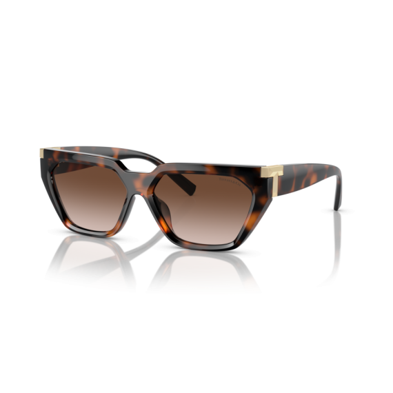 Tiffany TF 4205U 80153B Güneş Gözlüğü