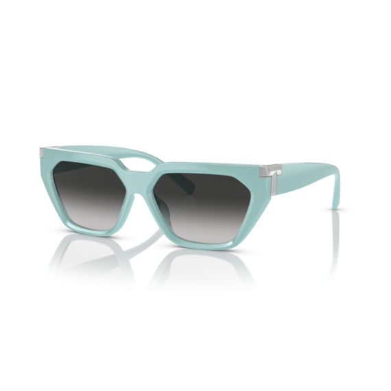 Tiffany TF 4205U 83883C Güneş Gözlüğü