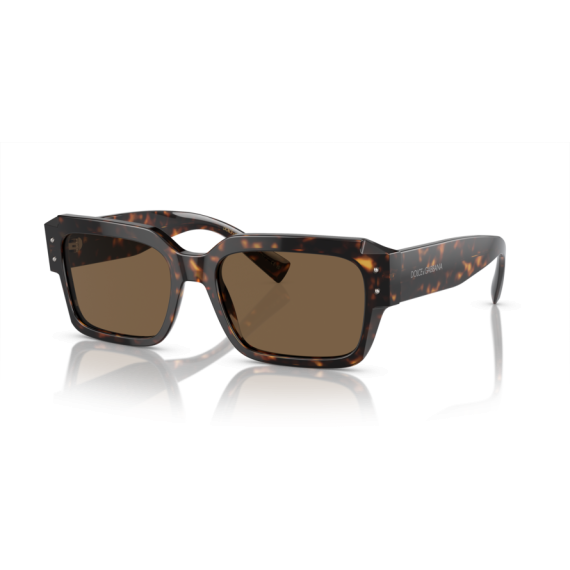 Dolce & Gabbana DG 4460 502/73 Güneş Gözlüğü