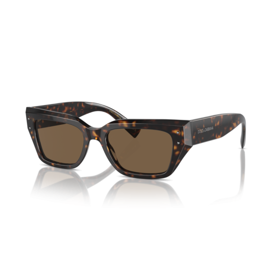 Dolce & Gabbana DG 4462 502/73 Güneş Gözlüğü