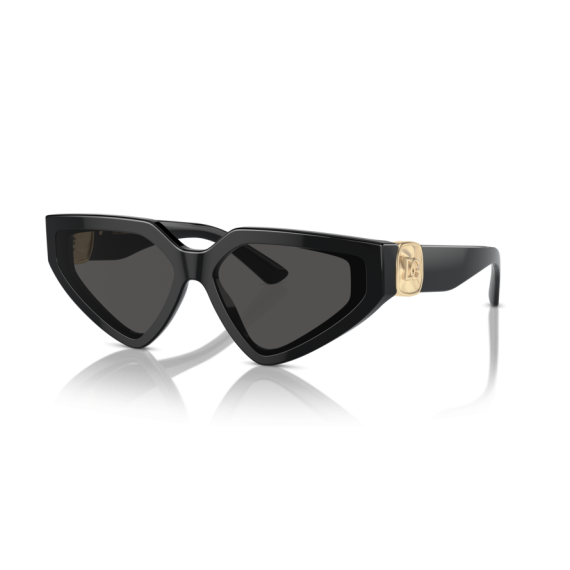 Dolce & Gabbana DG 4469 501/87 Güneş Gözlüğü