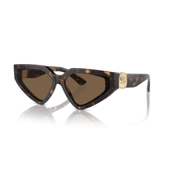 Dolce & Gabbana DG 4469 502/73 Güneş Gözlüğü