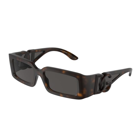 Dolce & Gabbana DG 6197 193587 Güneş Gözlüğü