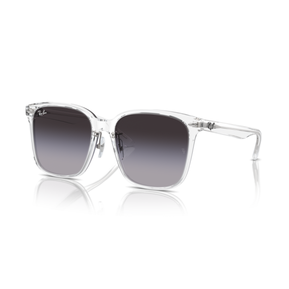Ray-Ban RB 2206D 64478G Güneş Gözlüğü