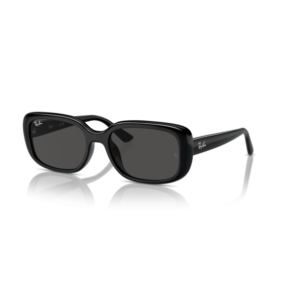Ray-Ban RB 4421D 667787 Güneş Gözlüğü