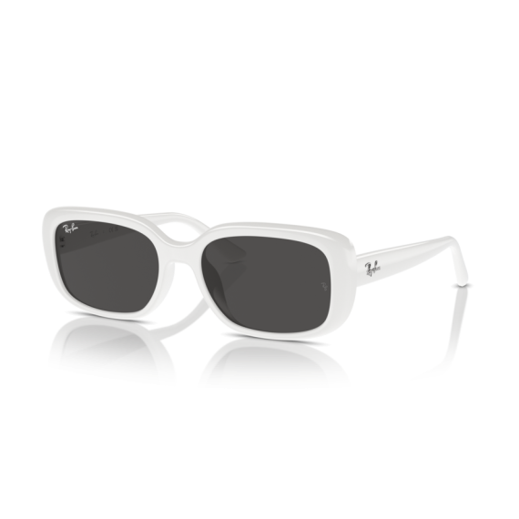 Ray-Ban RB 4421D 677287 Güneş Gözlüğü