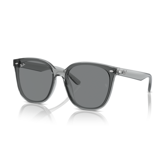 Ray-Ban RB 4423D 645087 Güneş Gözlüğü