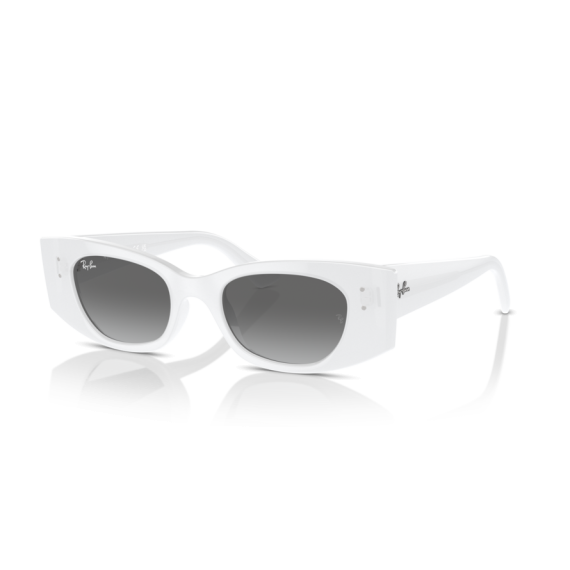 Ray-Ban RB 4427 675911 Güneş Gözlüğü