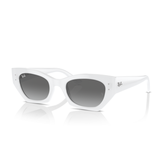 Ray-Ban RB 4430 675911 Güneş Gözlüğü