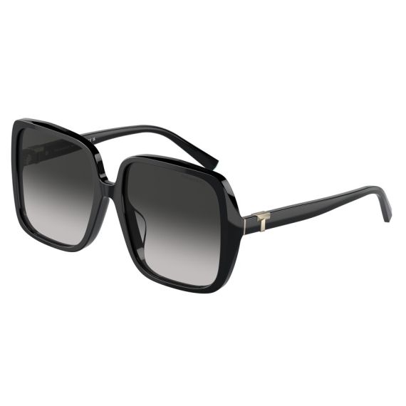 Tiffany TF 4211D 80013C Güneş Gözlüğü