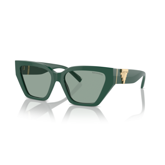 Tiffany TF 4218 840882 Güneş Gözlüğü