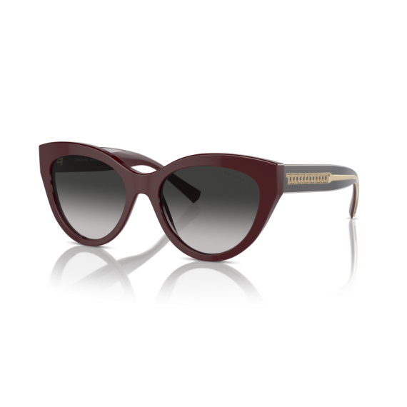 Tiffany TF 4220 83893C Güneş Gözlüğü