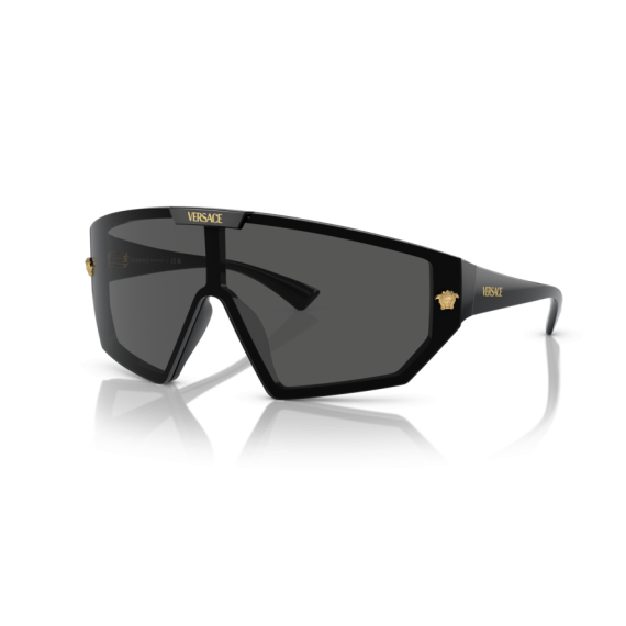 Versace VE 4461 GB1/87 Güneş Gözlüğü