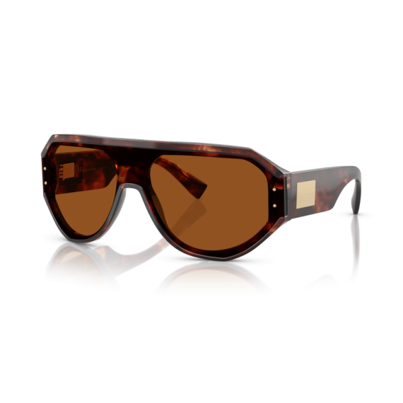 Dolce & Gabbana DG 4481 322273 Güneş Gözlüğü