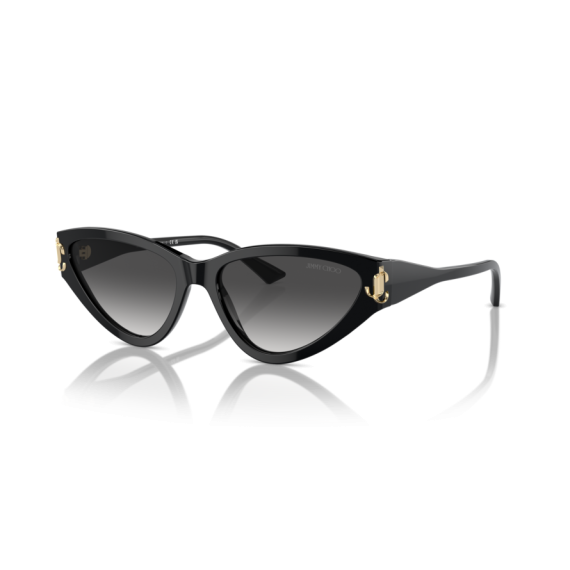 Jimmy Choo JC 5019 50008G Güneş Gözlüğü