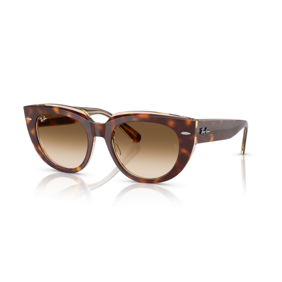 Ray-Ban RB 2286 141451 Güneş Gözlüğü, Cinsiyet: Kadın, Ekartman: 49