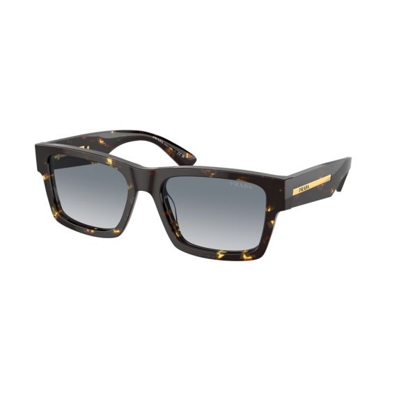 Prada PR 25ZS 16R30F Güneş Gözlüğü