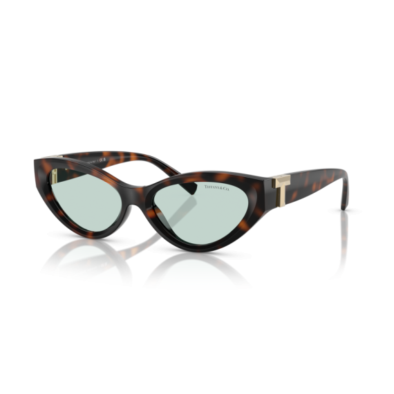 Tiffany TF 4225U 8429D9 Güneş Gözlüğü