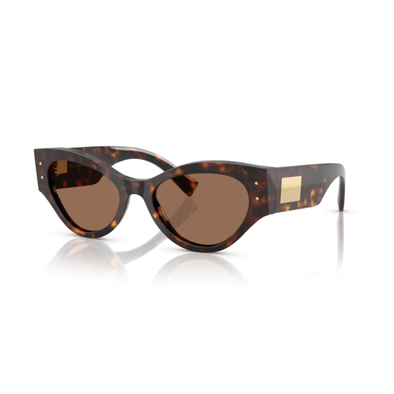 Dolce & Gabbana DG 4480 502/73 Güneş Gözlüğü
