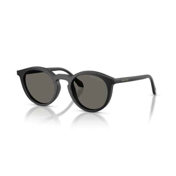 Giorgio Armani AR 8230U 5875R5 Güneş Gözlüğü