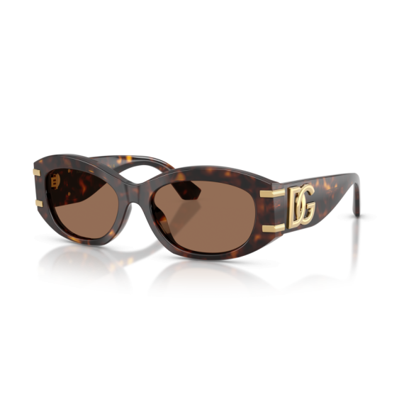 Dolce & Gabbana DG 4502 502/73 Güneş Gözlüğü