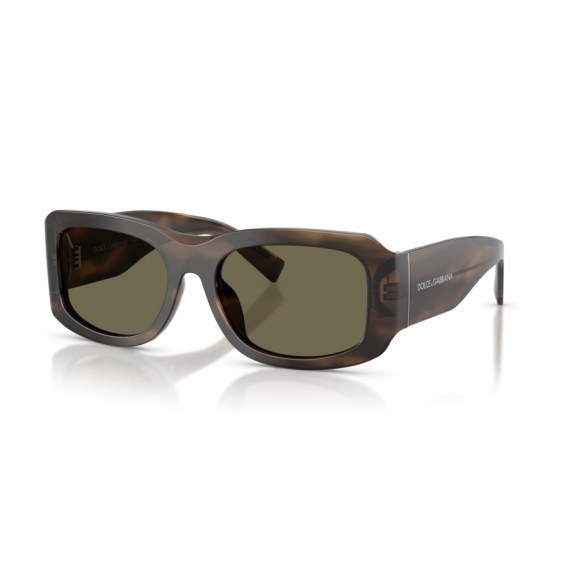 Dolce & Gabbana DG 4503 3200/3 Güneş Gözlüğü