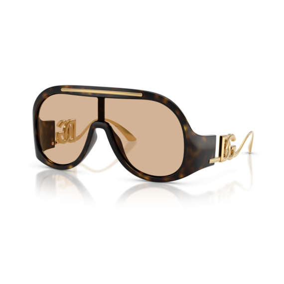 Dolce & Gabbana DG 6202 502/93 Güneş Gözlüğü