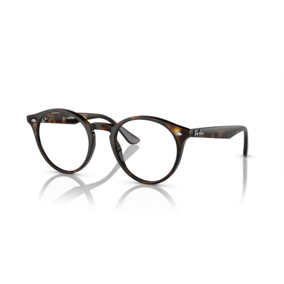 Ray-Ban RB 2180 710/M1 Güneş Gözlüğü