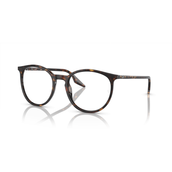 Ray-Ban RB 2204 902/GJ Güneş Gözlüğü, Cinsiyet: Unisex, Ekartman: 51