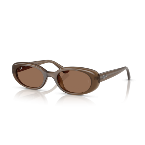 Ray-Ban RB 4441D 677973 Güneş Gözlüğü