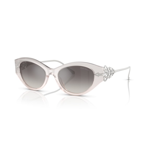 Ralph Lauren RL 8227U 611208 Güneş Gözlüğü