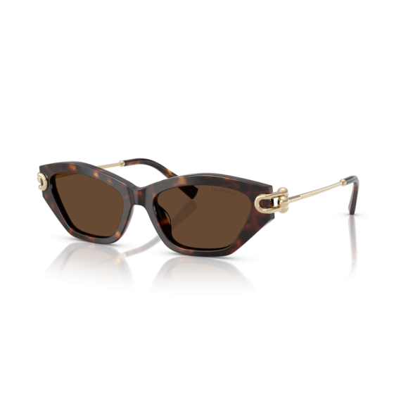Tiffany TF 4231U 80153G Güneş Gözlüğü