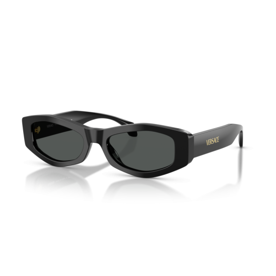 Versace VE 4487 GB1/87 Güneş Gözlüğü