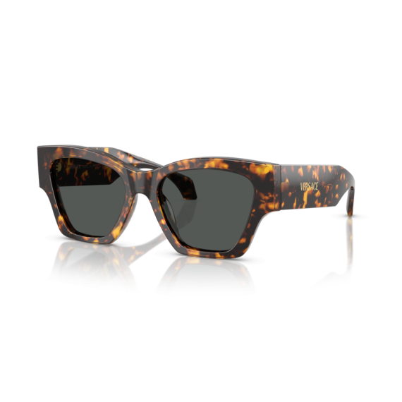 Versace VE 4492U 551487 Güneş Gözlüğü