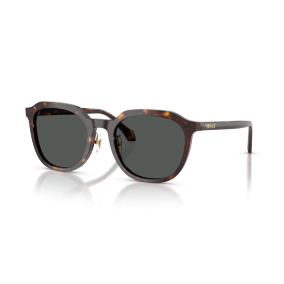 Versace VE 4493D 108/87 Güneş Gözlüğü