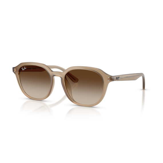 Ray-Ban RB 4459D 616613 Güneş Gözlüğü