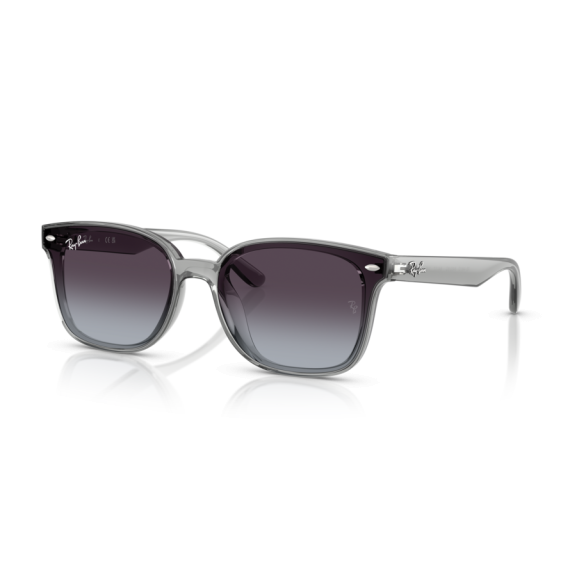 Ray-Ban RB 4461D 64508G Güneş Gözlüğü