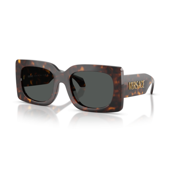 Versace VE 4496U 108/87 Güneş Gözlüğü