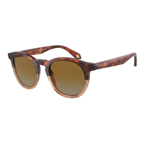 Giorgio Armani AR 8192 6034B2 Güneş Gözlüğü, Resim 6