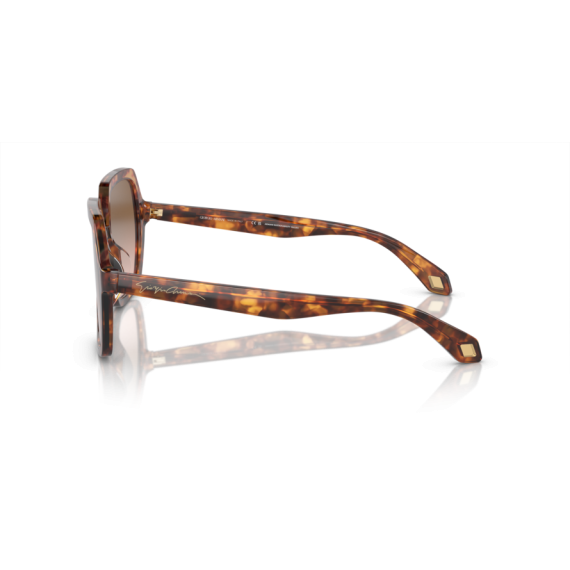 Giorgio Armani AR 8193U 603351 Güneş Gözlüğü, Resim 2