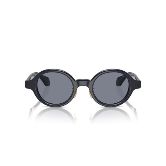Giorgio Armani AR 8205 606419 Güneş Gözlüğü, Resim 4