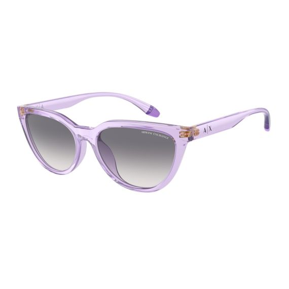 Armani Exchange AX 4130SU 823679 Güneş Gözlüğü, Resim 6